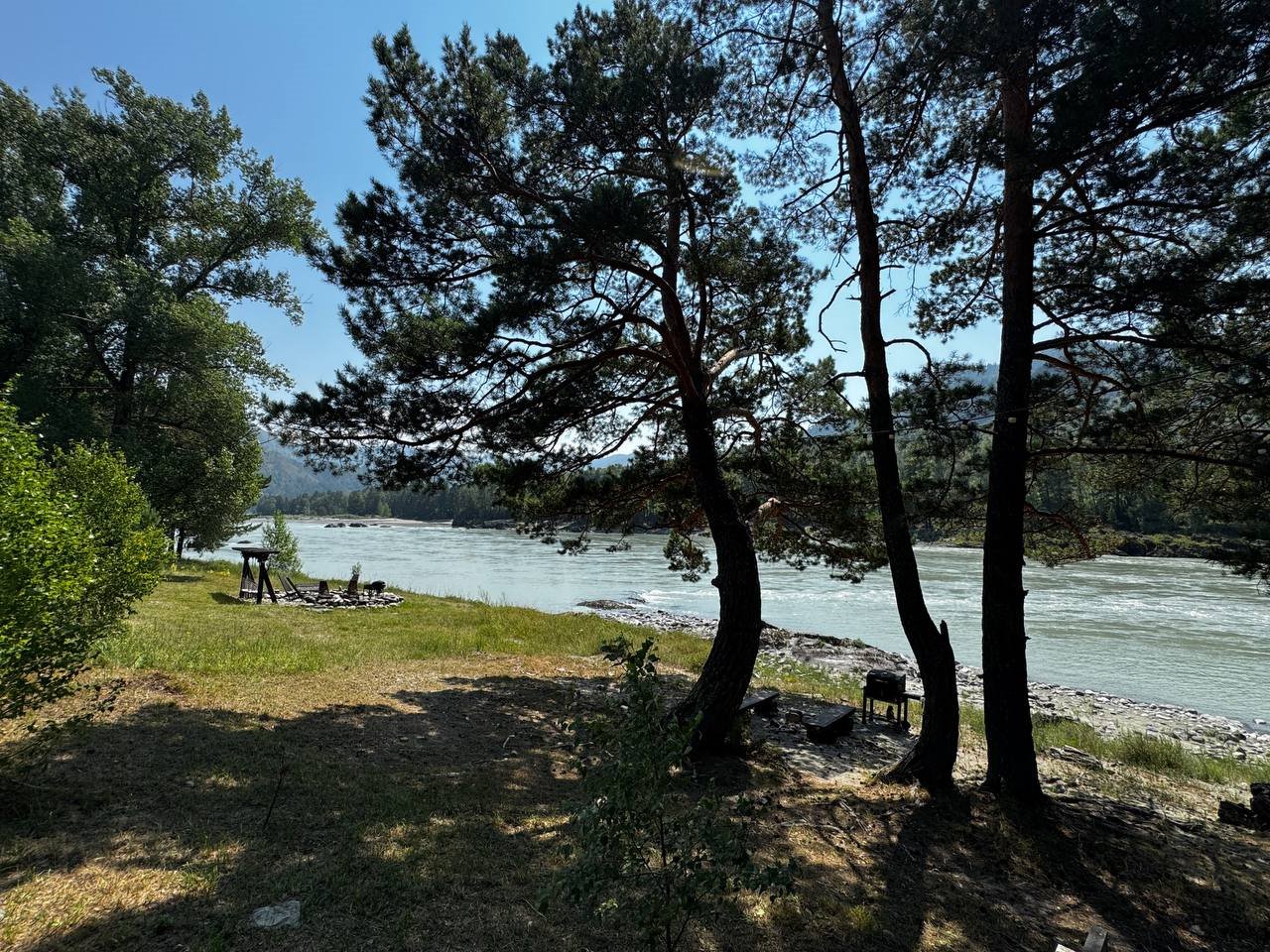 Зелёный берег Катуни среди гор